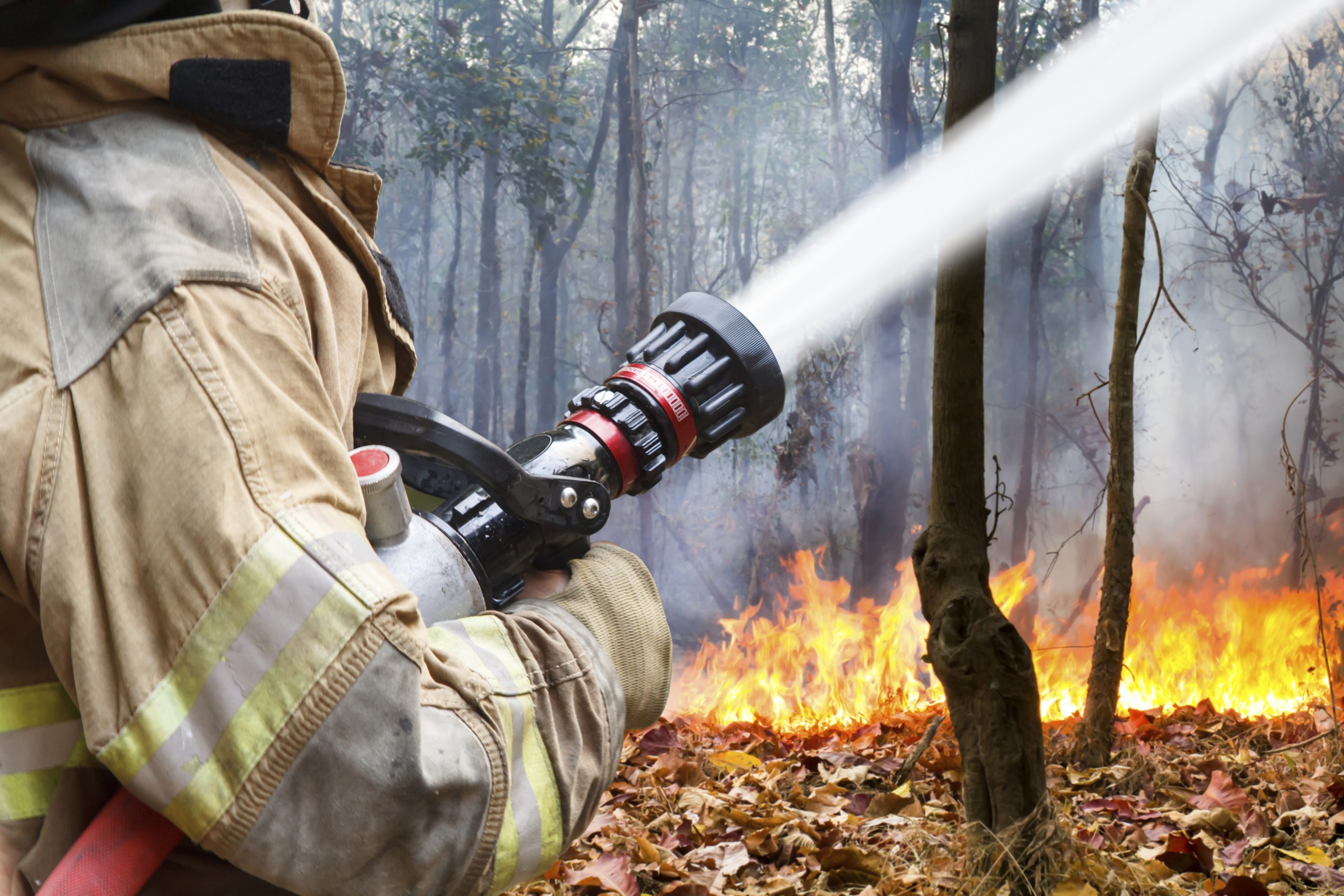 firefighters battle a wildfire